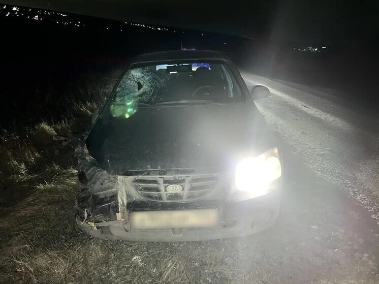 Еще одного пешехода вчера насмерть сбило авто под Воронежем