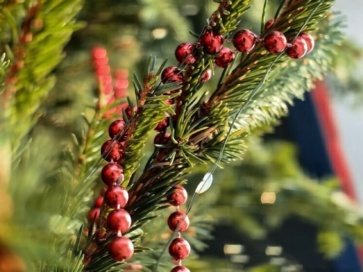 «Дом со льдом»: бесплатный зимний фестиваль пройдет во Владивостоке