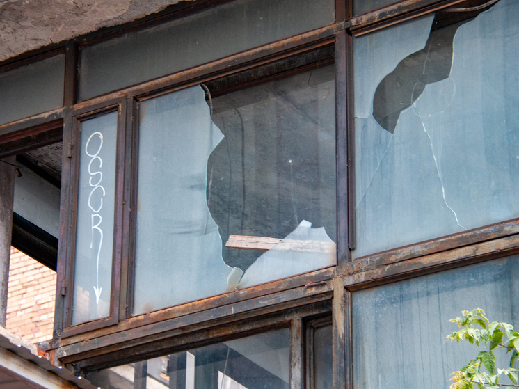 Пенсионерка разнесла квартиру после проигрыша в суде по "схеме Долиной"