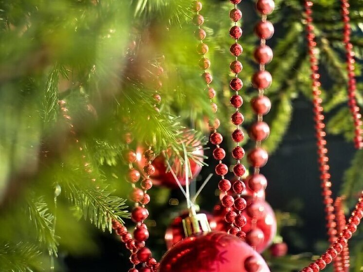 Приморье ждёт снегопад перед Новым годом