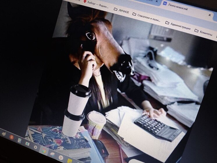 Гатчинские авиаремонтники устроили фотоконкурс, посвященный Году Лошади