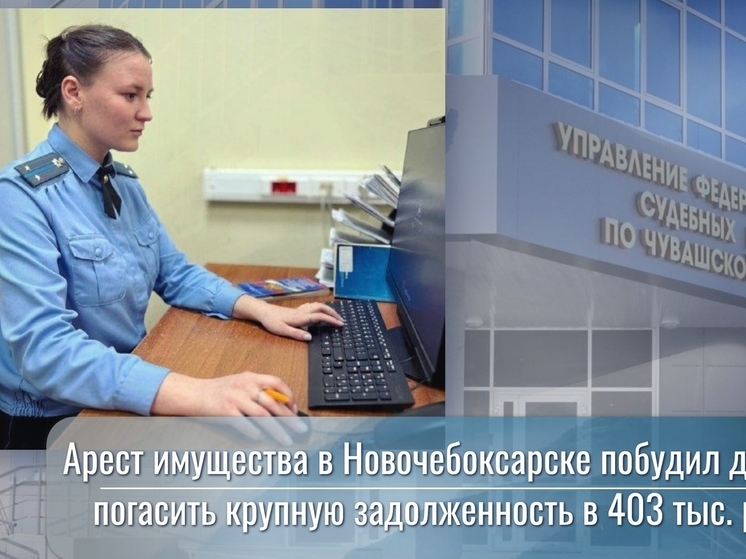 Арест кладовки заставил жителя Новочебоксарска погасить долг в 403 тысячи рублей