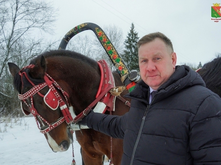 Главы округов Вологодской области участвуют в новогоднем челлендже