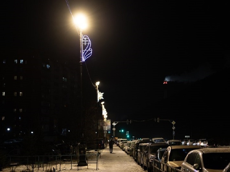 78 новых фонарей: улица Адмирала Горшкова во Владивостоке стала светлее и удобнее