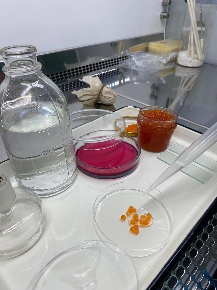 Качество красной икры проверено смоленскими специалистами