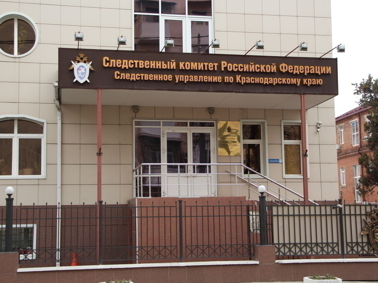 Бастрыкин затребовал доклад о расследовании дела о подростке, подозреваемом в нападении на членов своей семьи в Сочи