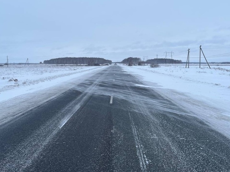Мощный мороз и метель осложнят обстановку на дорогах Курганской области