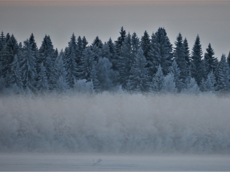 Особо охраняемые природные территории Карелии появятся на интерактивной карте