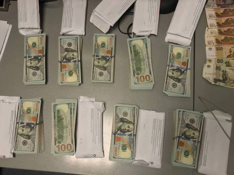 Внуковские таможенники обнаружили у контрабандиста из Литвы 38 тысяч долларов