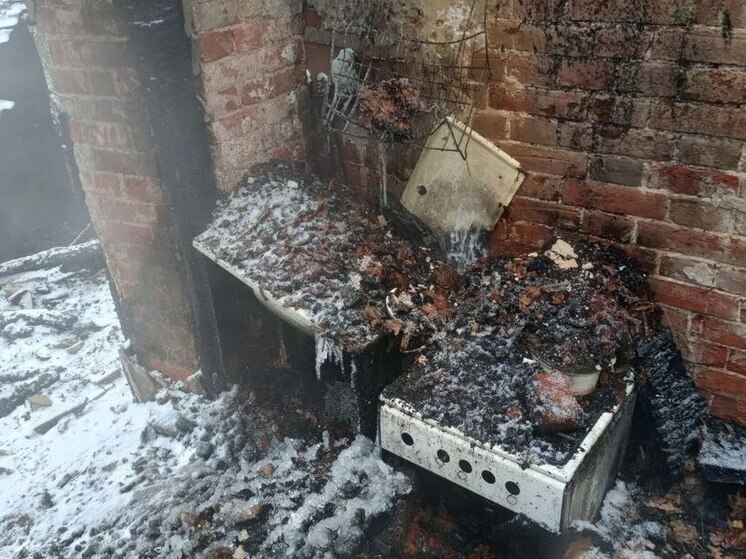 При пожаре в Сапожке пострадал 64-летний мужчина