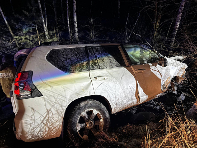 На трассе под Рязанью иномарка улетела в кювет, погиб мужчина