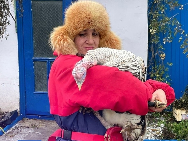 Соцконтракт помог белгородке развить личное подсобное хозяйство