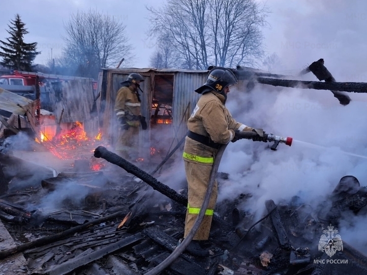 В Орловской области огонь уничтожил хозпостройку и гараж