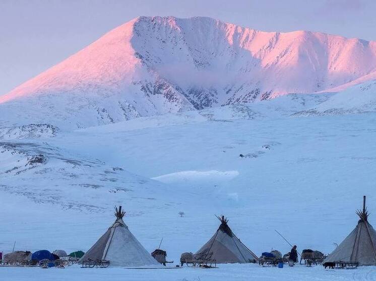 Жюри наградило победителей всероссийского конкурса «Покажи Ямал»