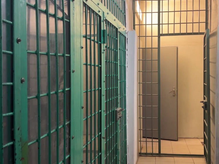 В Челябинской области задержали педофила, на счету которого больше десяти жертв