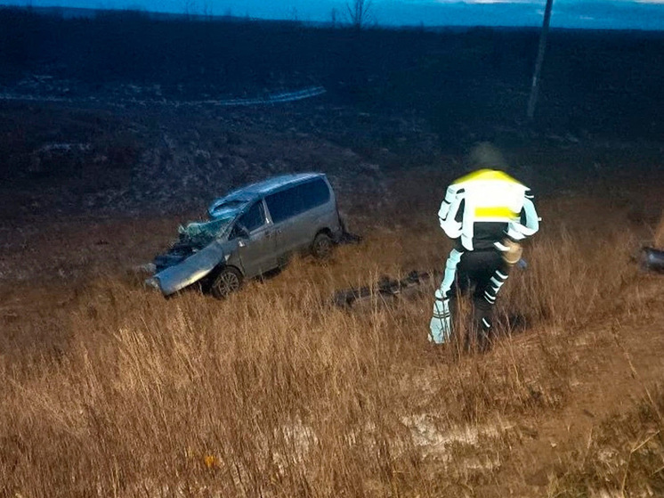 Водитель отправился в больницу после столкновения с грузовым «Фотоном» в Липецкой области