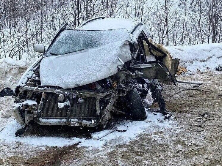 Пожарные в Анивском районе извлекли водителя из искореженной машины после ДТП