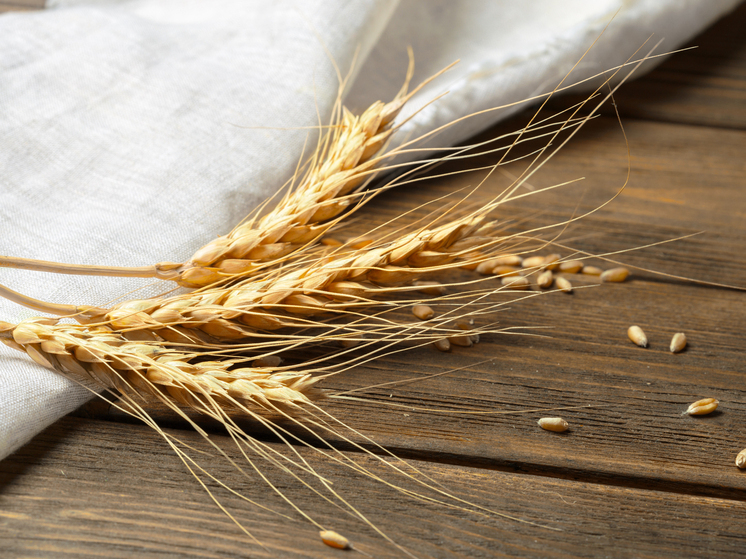 В Запорожской области пресекли незаконную перевозку 5 тонн пшеницы