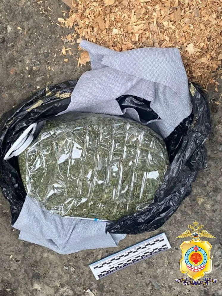 В Калмыкии задержали местного жителя, подозреваемого в незаконном обороте наркотиков