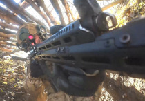 Войска «Центра» 20 декабря освободили населенный пункт Светлое в ДНР