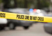 Жительница Флориды Сьюзен Эрика Авалон арестована по подозрению в том, что за один день застрелила обоих своих бывших мужей в разных округах штата. Один из погибших перед смертью успел указать на свою бывшую жену как на возможную стрелявшую. 
