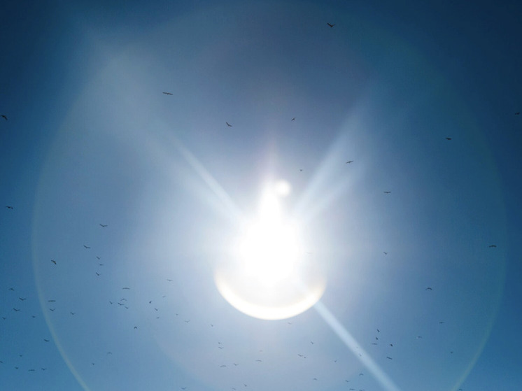 Солнечное гало появилось над Самарской областью 24 декабря 2025 года