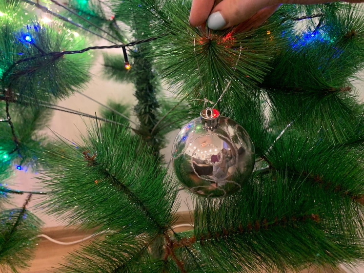 В Омске врачи предупреждают о рисках установки новогодней ёлки