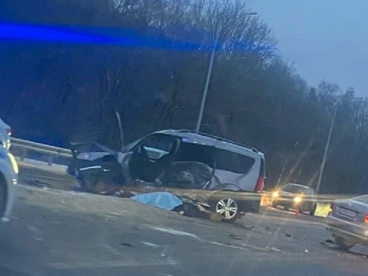 В районе владимирского аэропорта при перестроении погиб пожилой водитель