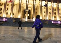 Грузия в уходящем году проявила недюжинную волю в отстаивании собственной независимости