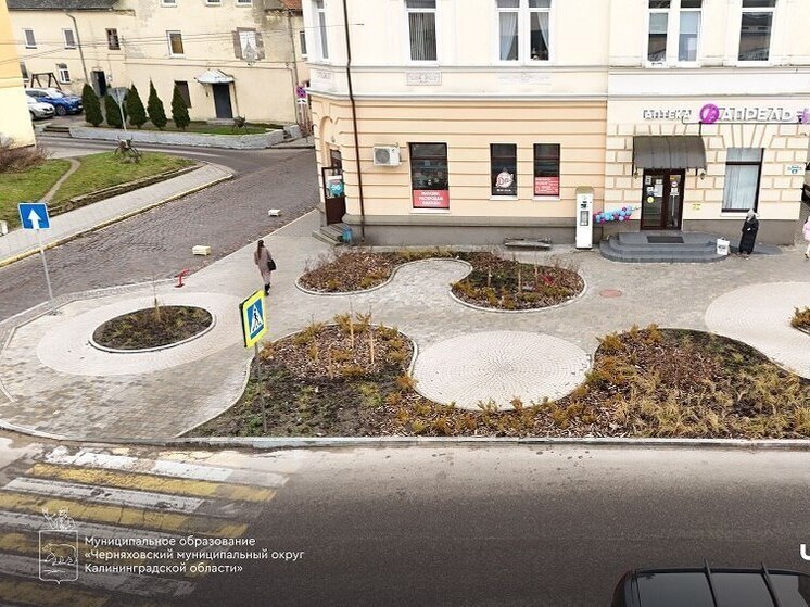 Собак Черняховска попросили держаться подальше новых растений в парке