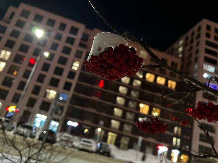 В Алтайском крае 25 декабря сложится теплая зимняя погода