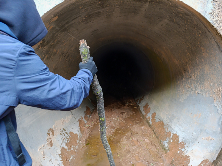 «Туалетные крысы» угрожают жителям Сиэтла после разрушительных наводнений