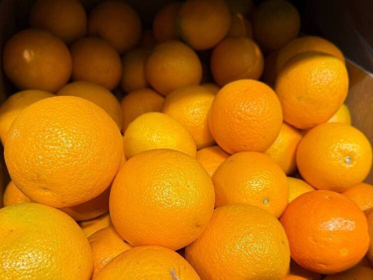 В Ставрополе на площади 200-летия пройдет новогодняя сельскохозяйственная ярмарка