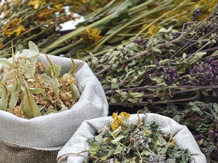 Витрина товаров Хакасии появилась на одном из главных маркетплейсов России