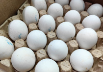 Российский яйца внезапно стали одним из самых популярных продуктов в Европе