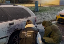 По предварительным данным, мужчину, взорвавшего полицейских в Москве в ночь на 24 декабря, мошенники убедили участвовать в «шпионской операции»