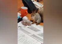 На режимном объекте в Подольском городском округе Подмосковья произошло дерзкое проникновение