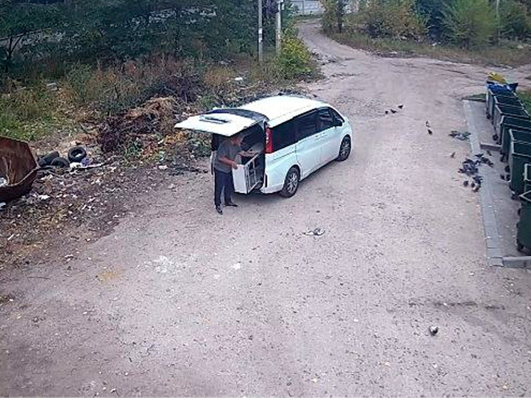 Липецкого нарушителя правил утилизации отходов отследили по камерам