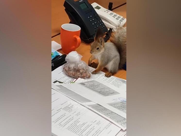 На режимном объекте в Подольском городском округе Подмосковья произошло дерзкое проникновение