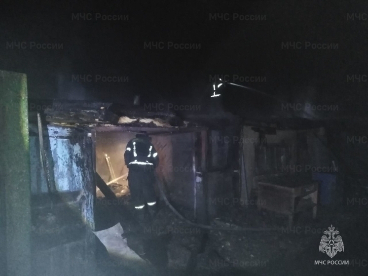 В Орловской области ночью тушили пожар в деревянной хозпостройке