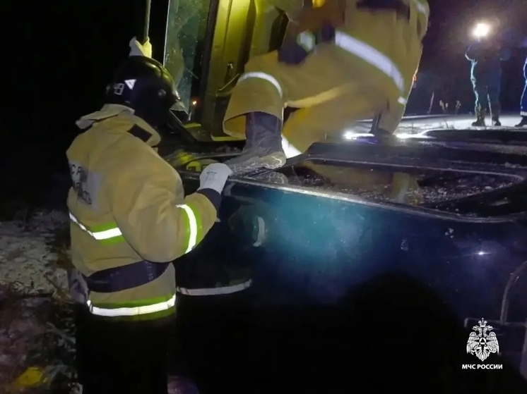 Машина вылетела в кювет и опрокинулась в Тверской области