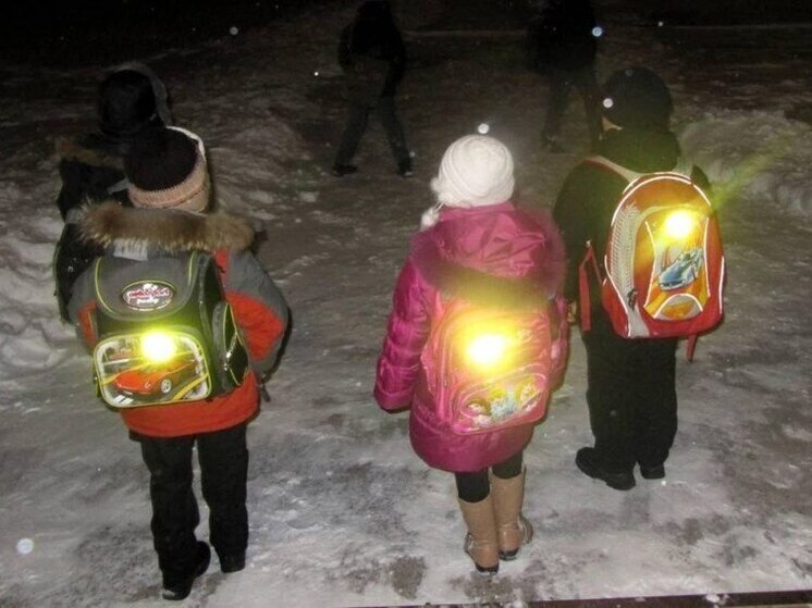 Брянским школьникам напомнят о правилах безопасности на дороге