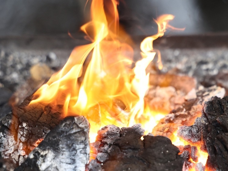 В Челябинской области создадут новую систему оповещения о пожарах