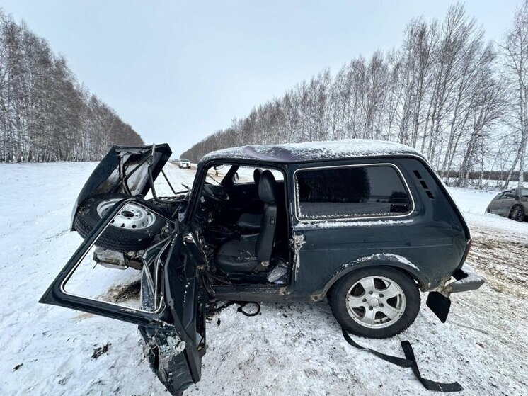 Рискованный обгон: три человека пострадали в ДТП в Умётском округе