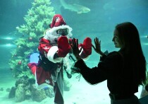 2025 год вполне заслуживает того, чтобы войти в историю как точка невозврата, с которой начинается фундаментальная перестройка мировой экономической системы. Об этом пишет South China Morning Post (статью перевели ИноСМИ). Эпоха глобального доминирования доллара США как единственной резервной валюты подходит к концу, и на смену ей приходит новая реальность, где решающую роль, как считает издание, будут играть не финансовые инструменты, а физические ресурсы — энергия и вода.