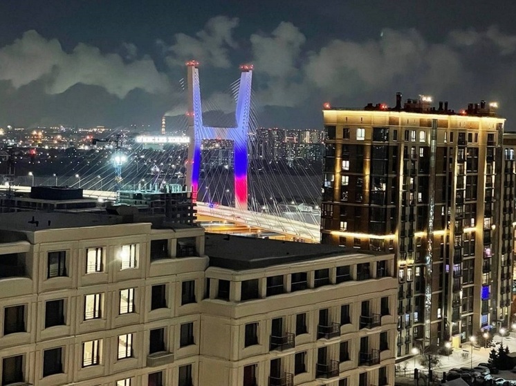 Новосибирская филармония предложила назвать четвёртый мост через Обь «Струны Сибири»