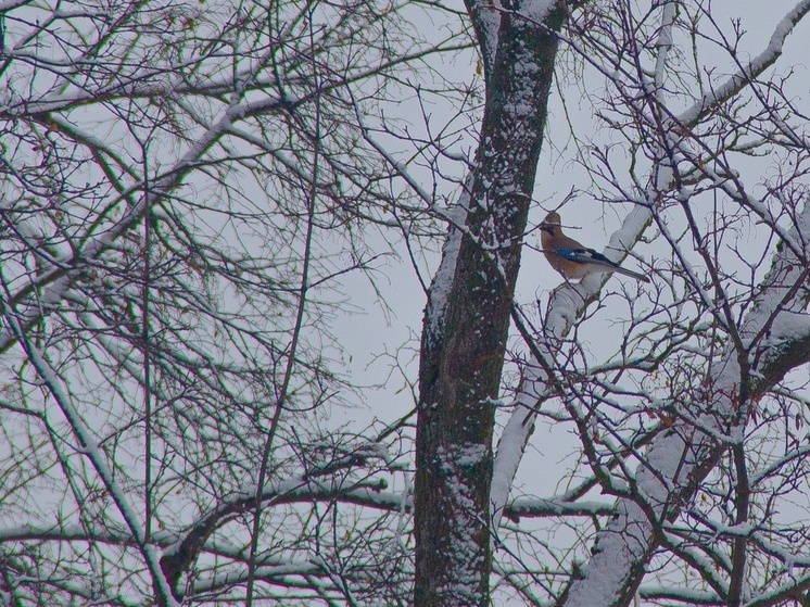 В Роспотребнадзоре объяснили тулякам, как правильно закаливать детей
