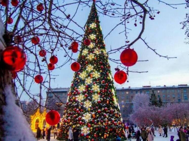 В Новосибирске открылись ёлочные базары: цены выросли незначительно