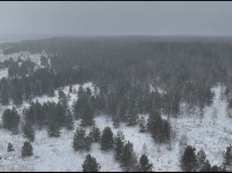 В Пензенской области БПЛА выявили неиспользуемые сельхозугодья