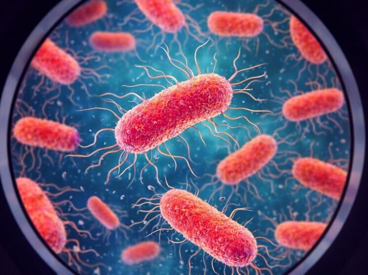 Россельхознадзор нашел сальмонеллу в продукции тамбовских птицефабрик